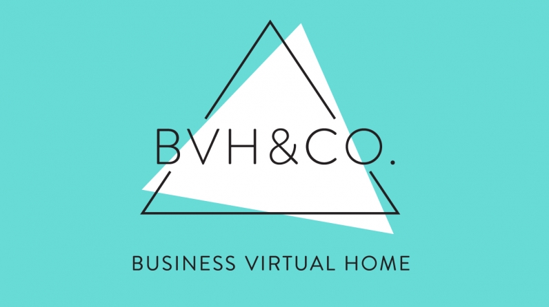 BVHCO-logo-aqua