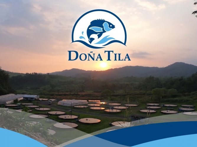 Dona-Tila-proyecto-portada