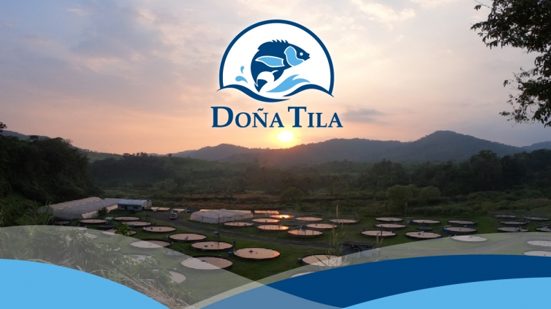 Dona-Tila-proyecto-portada