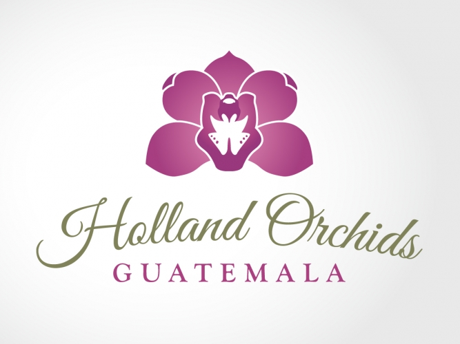 Holland-Orchid-logo-final