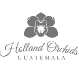 logos-holland-orchids